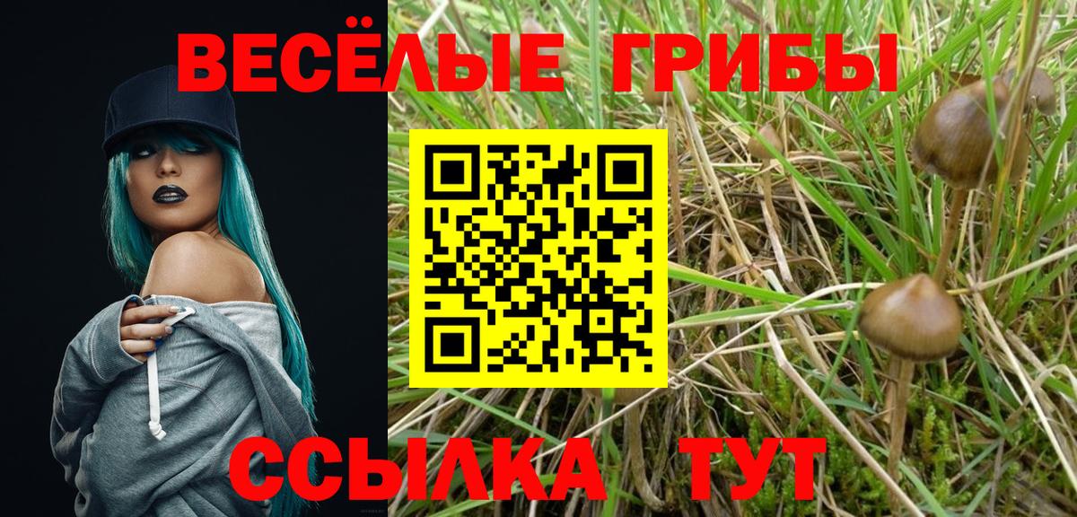 Псилоцибиновые грибы GOLDEN TEACHER Шарыпово